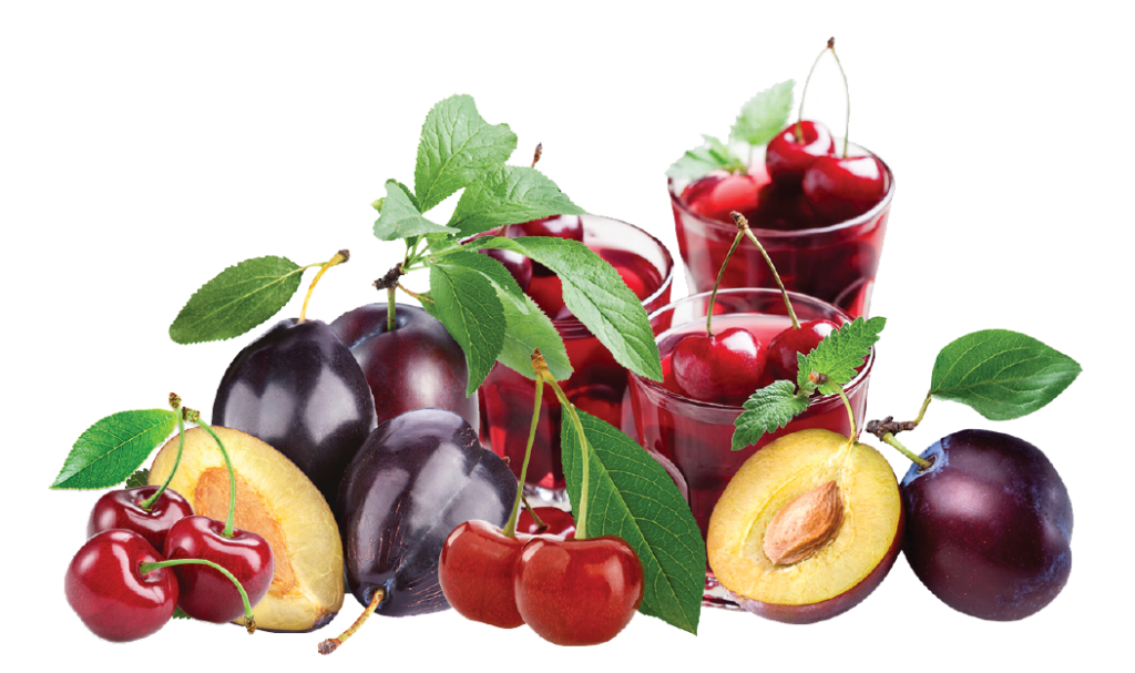 Консервы LEGURME - консервный завод Будешть, Молдова